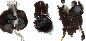 Cartes, série noire