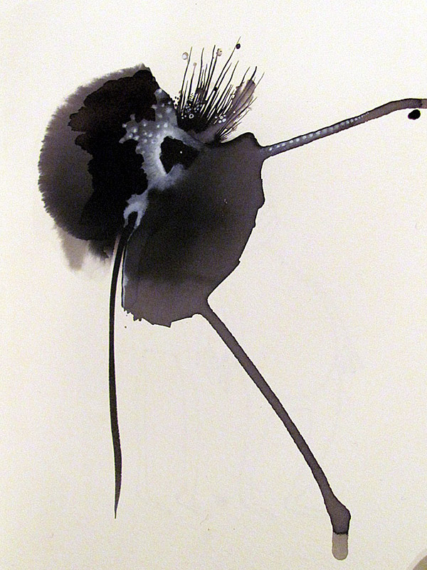 Méduse Méduse - Medusa