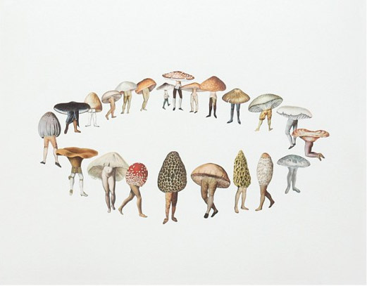 Fairy Ring from Amy Ross