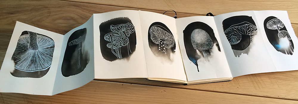 Hello Every Sunday, week one and two