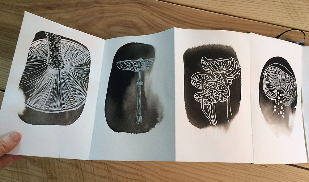 Hello Every Sunday, week one