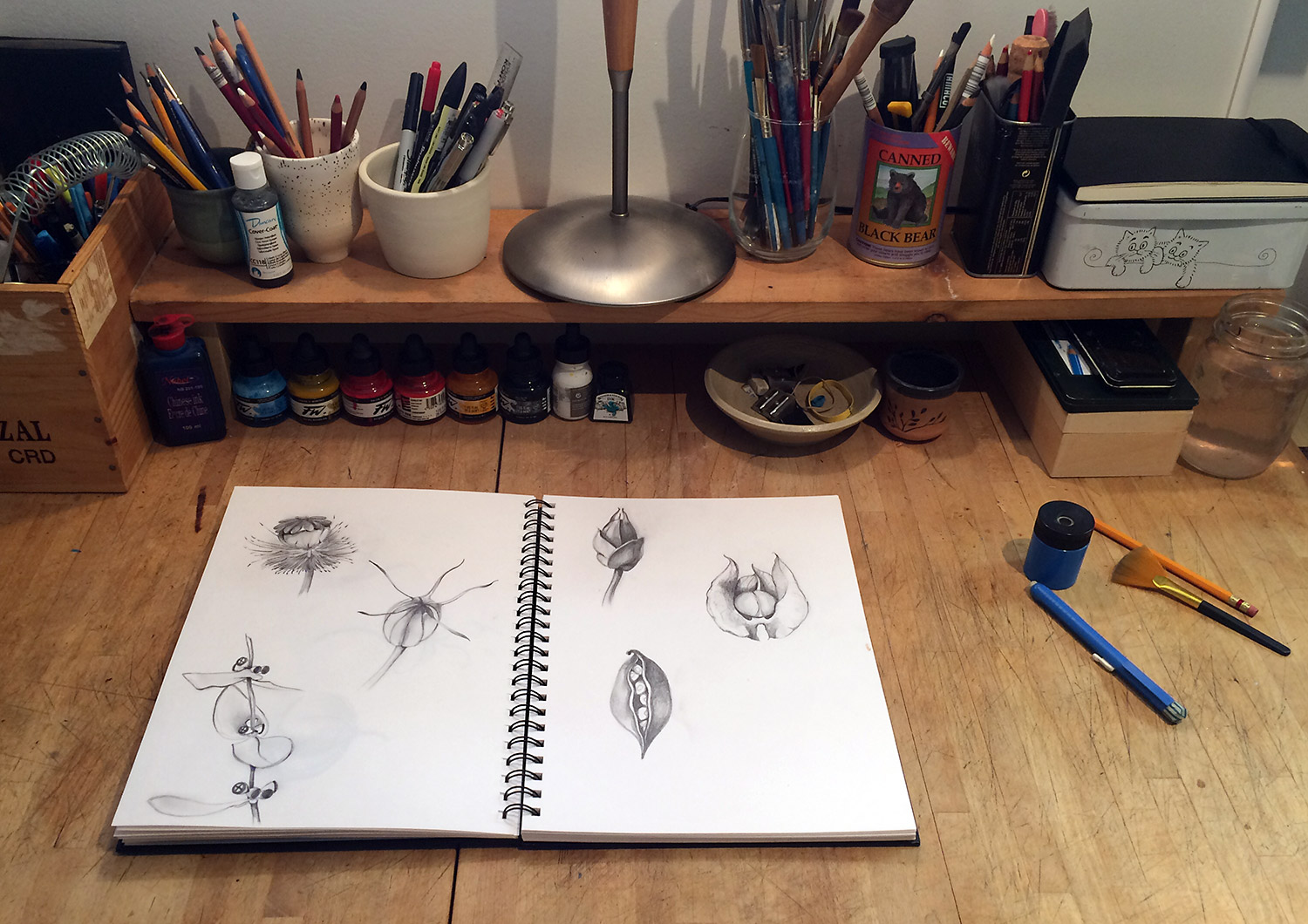 Hello Every Sunday, Week 5: Pods and Seeds, Take 2