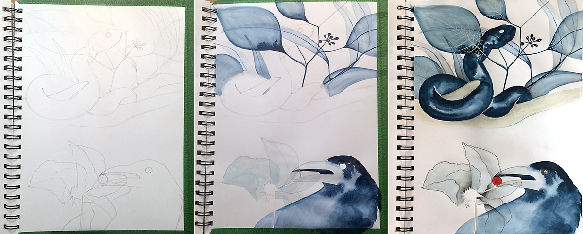 Steps in making these illustrations