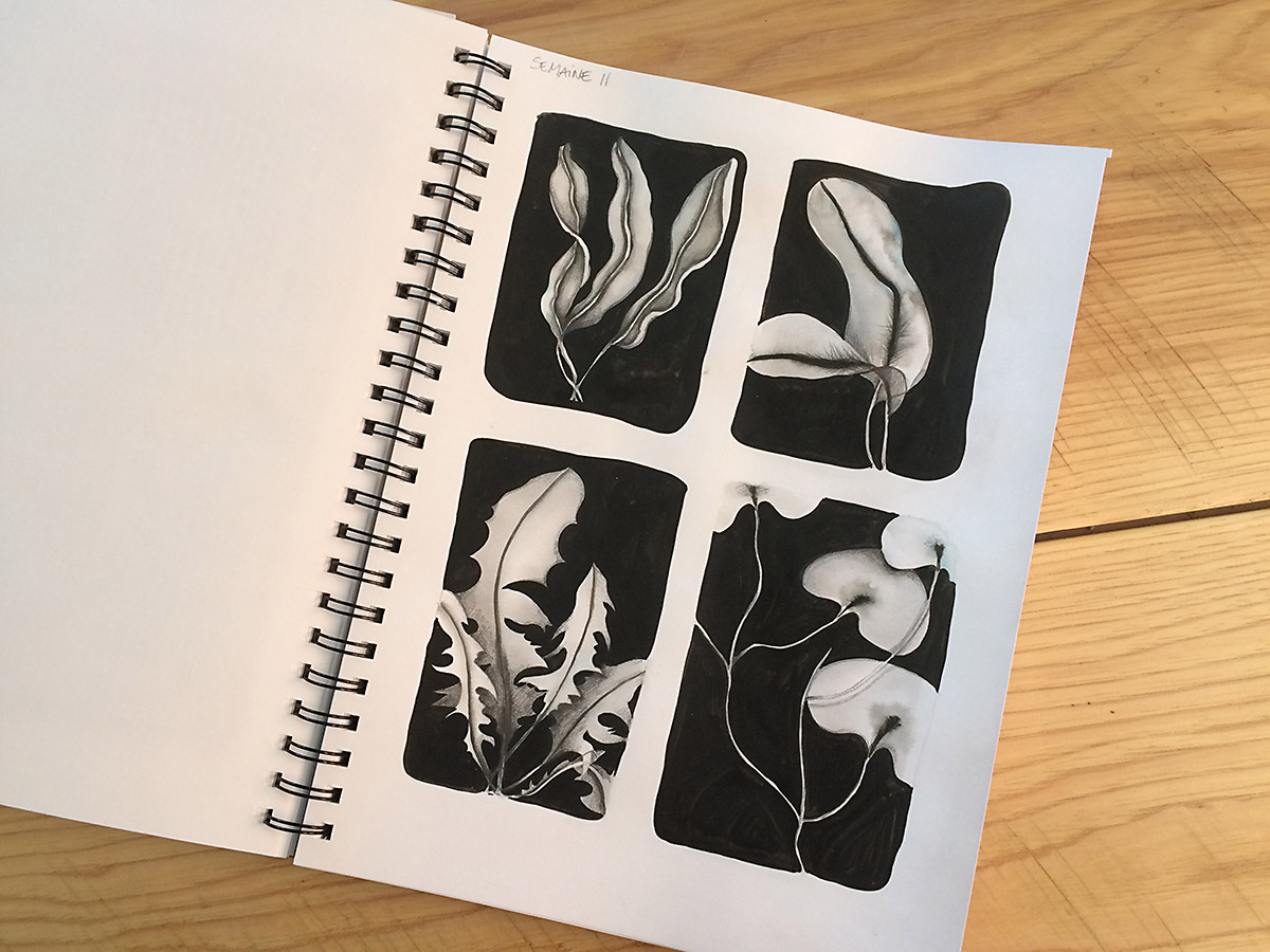 Hello Every Sunday, week 11