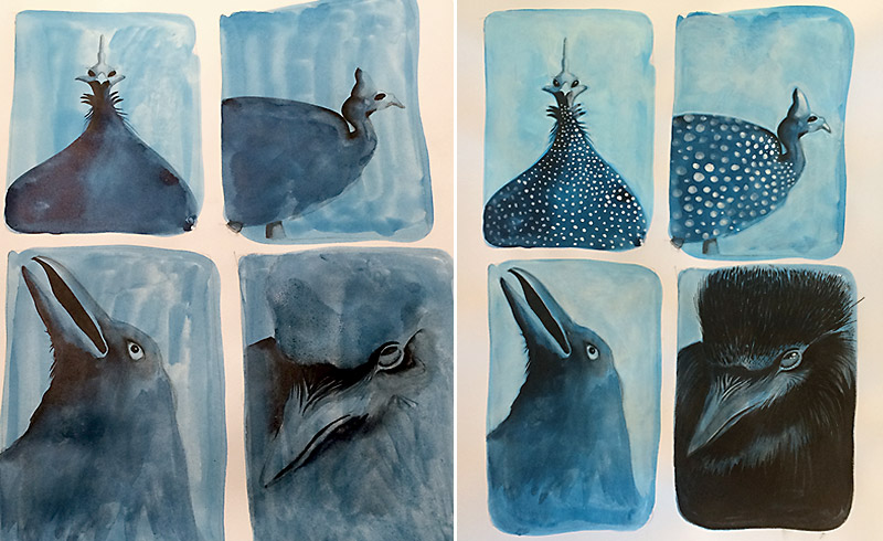 Blue Birds: the process