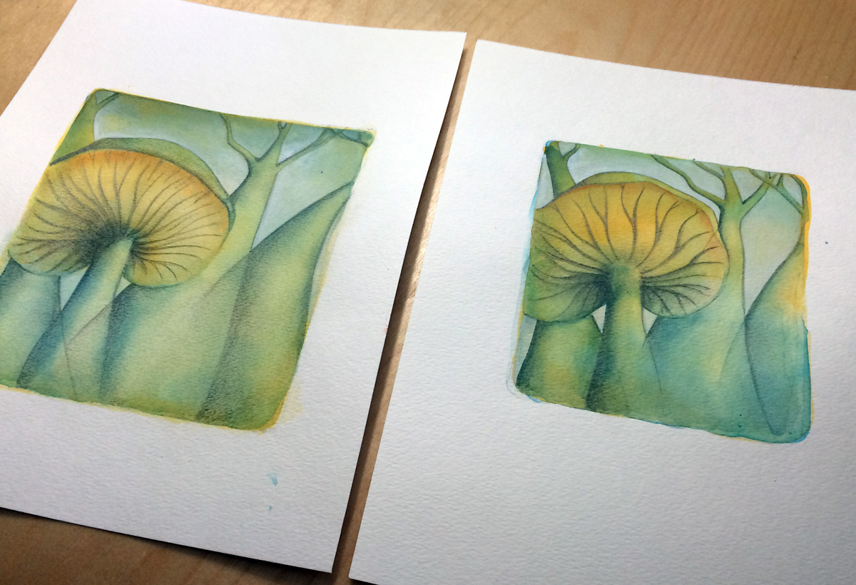 HES week 14: The Mushroom Fest Goes On