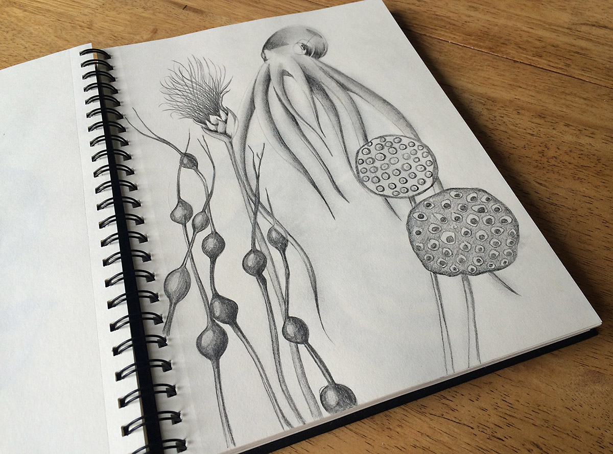 Hello Every Sunday, Week 19: Octopus and plants