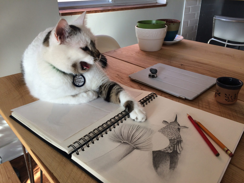 Belu, official furry companion