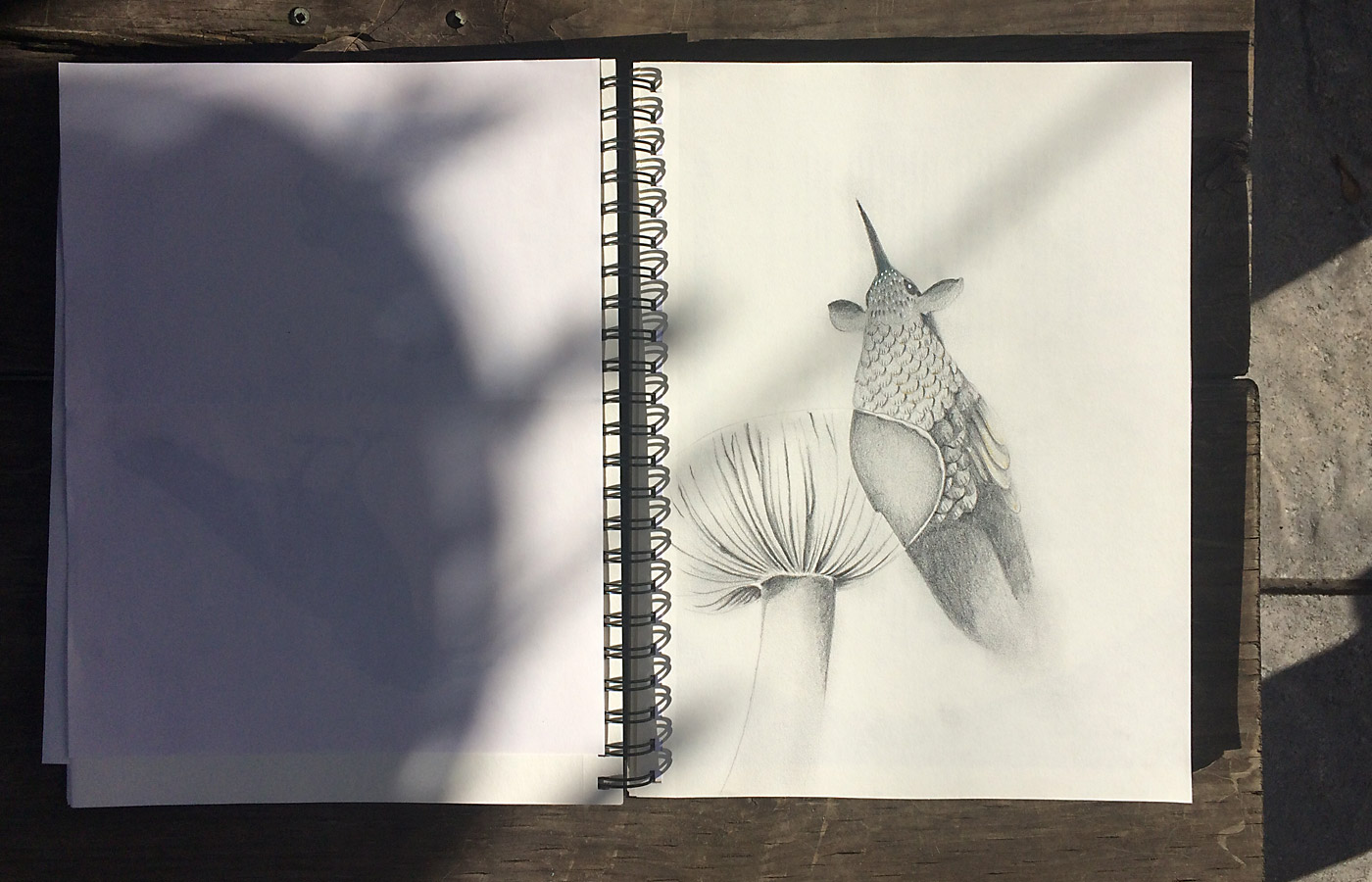 Hello Every Sunday, week 22: Variations on a bird