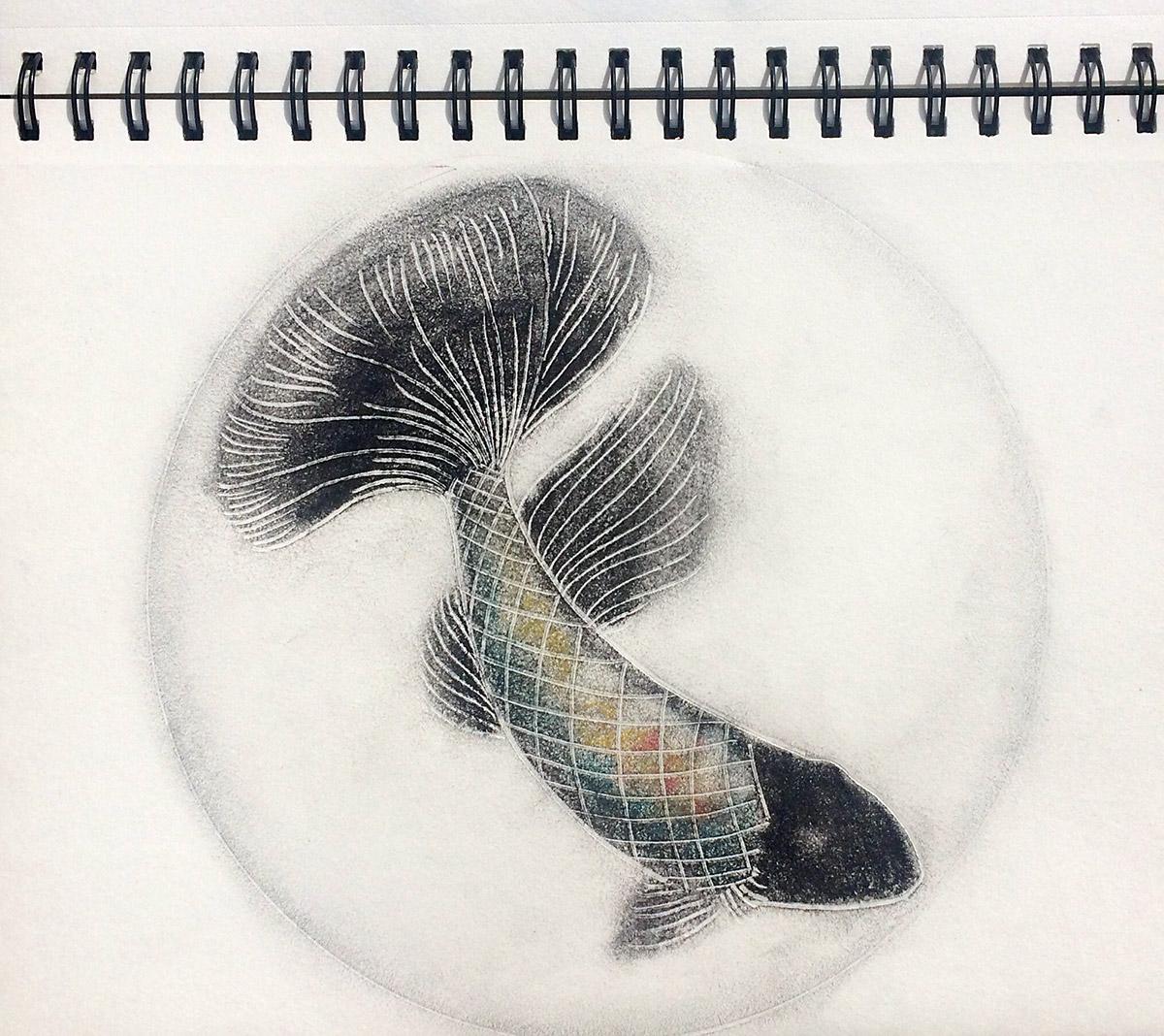 Hello Every Sunday, week 34