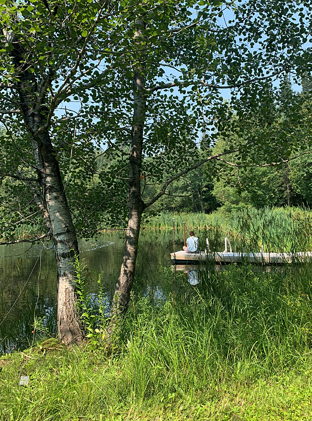 About La Datcha, pond in the country