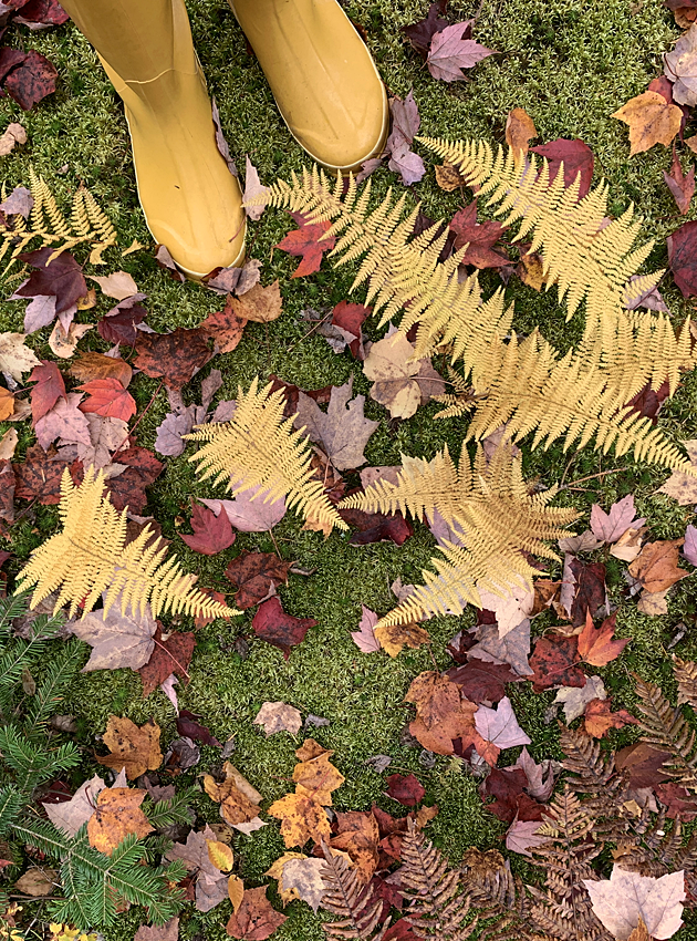 Yellow boots and ferns in Fall