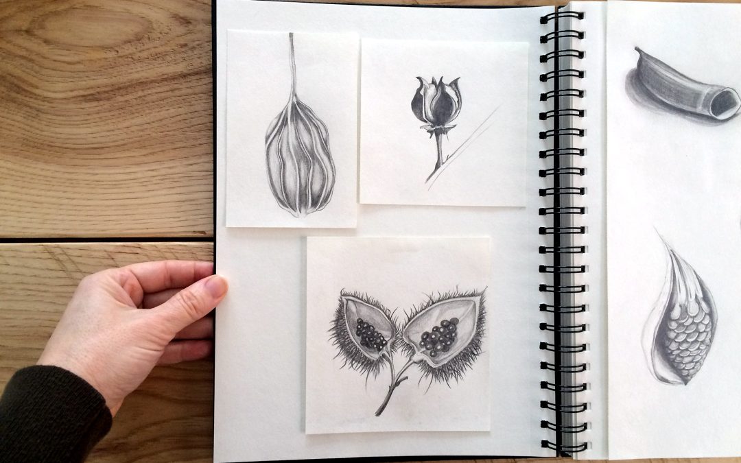 Hello Every Sunday, week four!