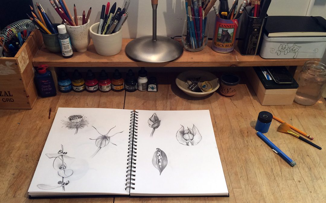 Hello Every Sunday: Weeks Five and Six