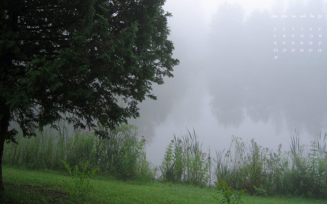 April’s wallpapers